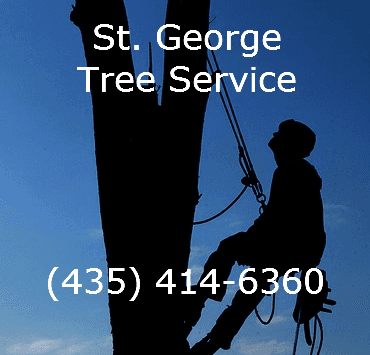 St. George Tree Service