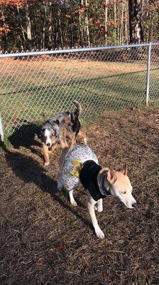 Halloween fun at the park