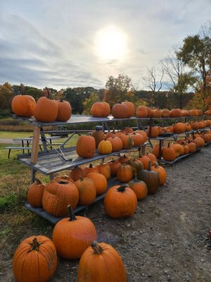 Crescent Farms