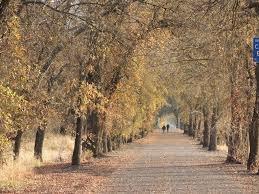 Sacramento Northern Bike Trail in Rio Linda