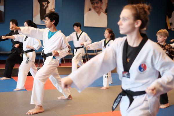 Family Taekwondo Class