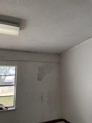 Patched and painted wall?