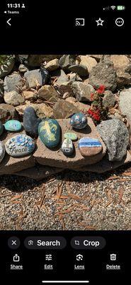 The Rock Garden Collection.