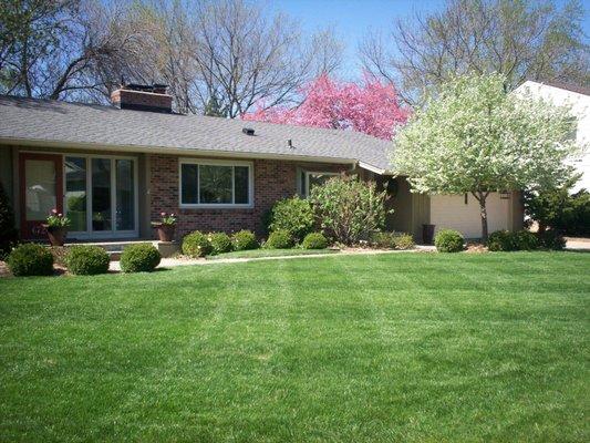 Weekly Mowing with Organic Fertilization