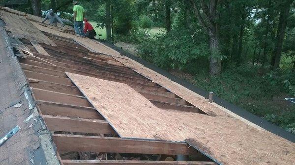 Being focused while new plywood is being installed.