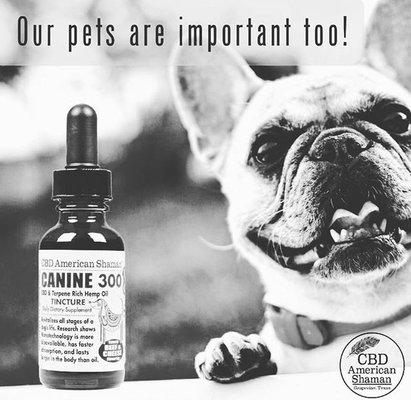 Canine CBD- Beef and Cheese