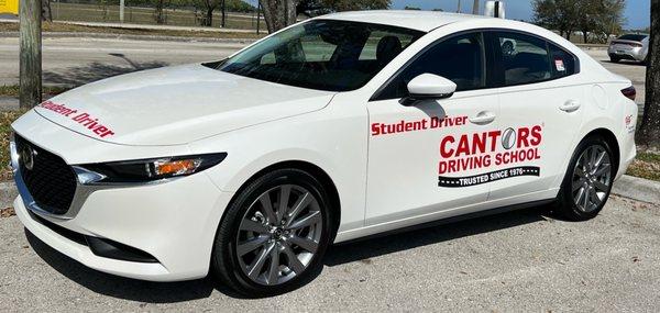 Cantor's Driving School