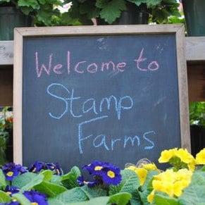 Beautiful Flowers at Stamp Farms