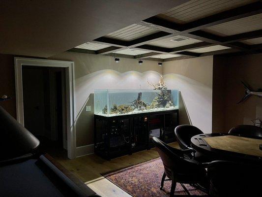 Custom aquarium for African Cichlids tailored for an aquarium service client with complete remote monitoring.