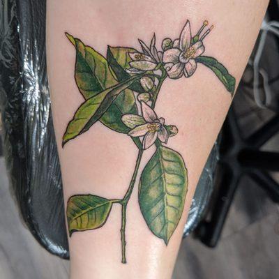 citrus flower tattoo by Marie Vlasic