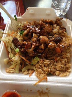 Chicken Teriyaki w/ Fried Rice