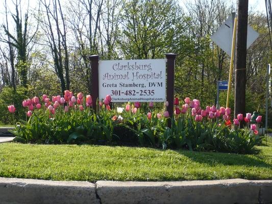 Springtime at CAH!