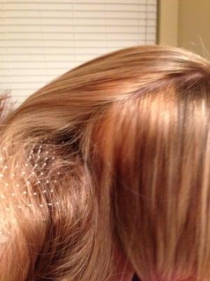 The orange spot on the crown top of my head when I requested to be an "icy blonde"