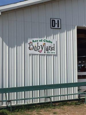 Baby land! Where you can pet baby farm animals