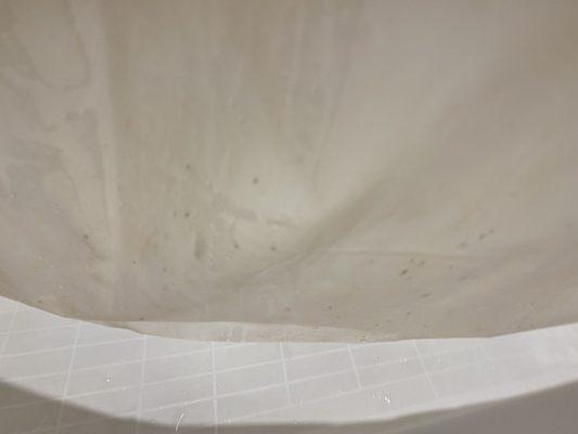 More mold in shower curtain