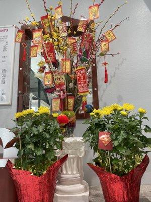 Get your FREE red envelope for Lunar New Year on 23rd and 24th with any services done.