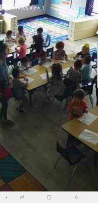 Screen shot of my daughter and classmates during lesson of the day.