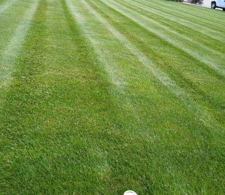 Reliable Lawn Care