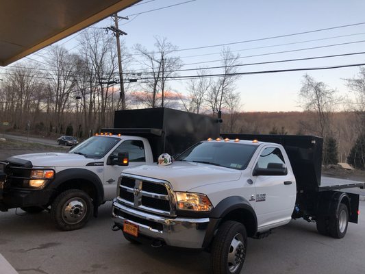 Taking tree care to new heights. I am happy to announce the purchase of our new truck. She is a great addition to the Amber Tree Care family