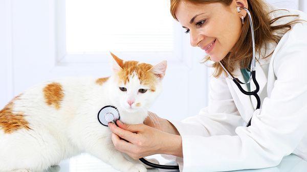 Barron Veterinary Clinic