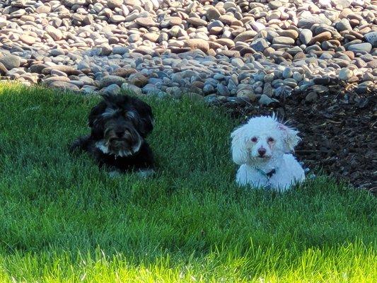 Katie(white) Molly her friend.