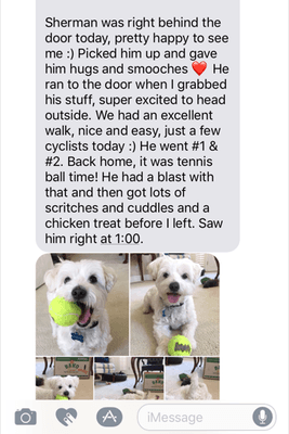 I look forward to my daily updates from Tiana. It definitely breaks up the work day and gives peace of mind knowing that my pup's loved on.