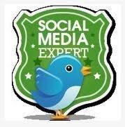 Certified Social Media Strategist. Get found online and build your following. Social Media Optimization.