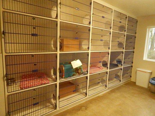 Our Cattery!