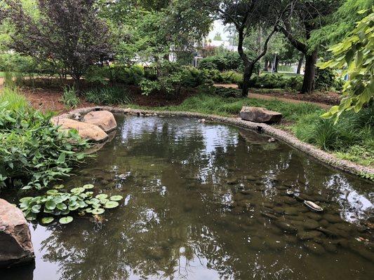 Meinders Garden:  Pond