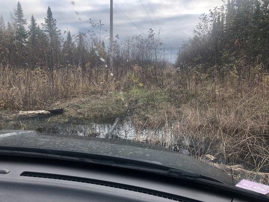 Stuck in a mud hole and rescued by Phil's Towing