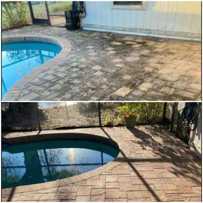 Pool deck mold removal