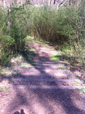 Entrance steps