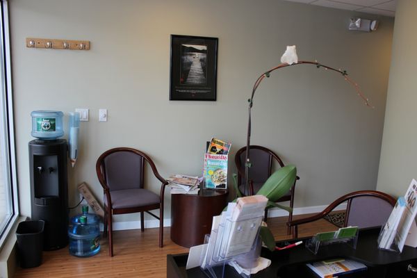 Acupuncture Associates of Long Island