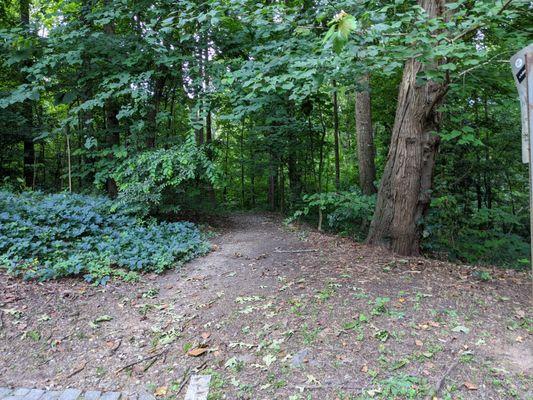 Deepdene Park, Atlanta