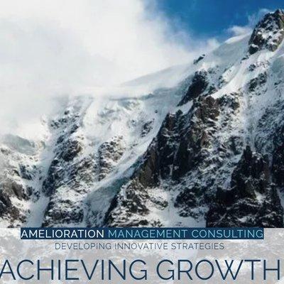 Amelioration Management Consulting