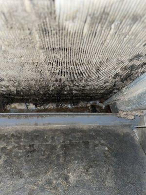 mold in my air vent, i was constantly sick for months because of it.