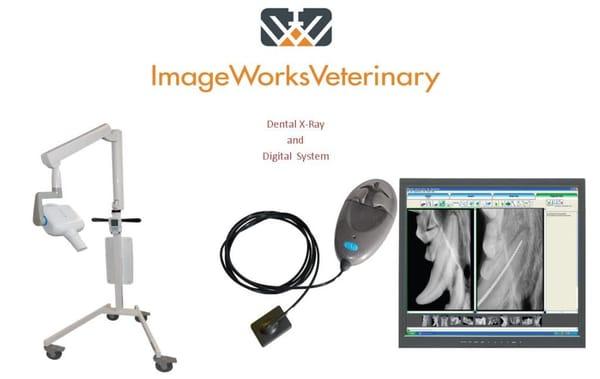 Veterinary Dental with DR Plate