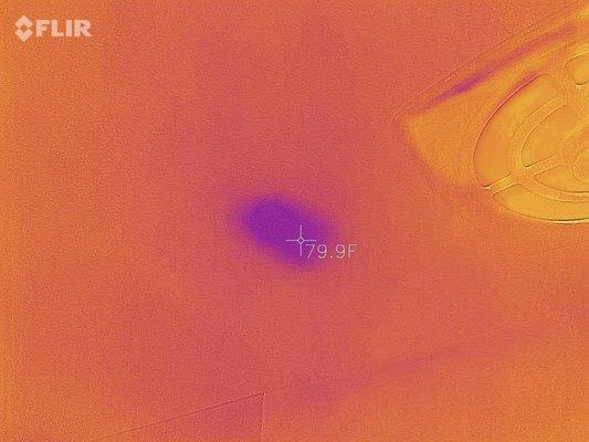 Thermal cameras see what the naked eye can't, here is a leak in a condo from the unit above