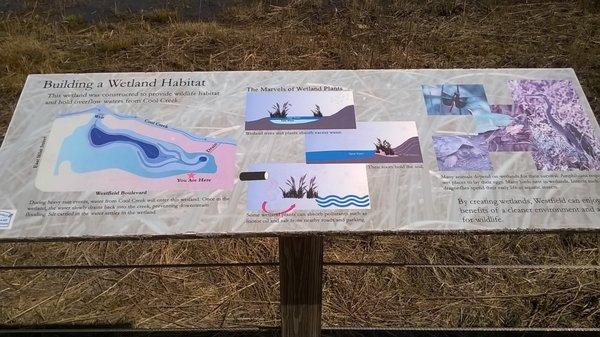 how & why they made a wetlands