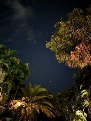 Beautiful uplighting in the courtyard.