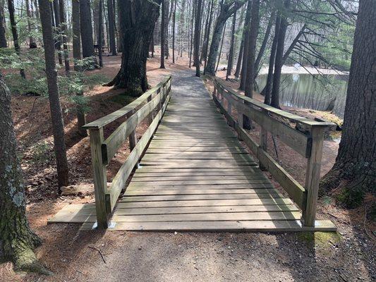 Footbridge beside the pond.