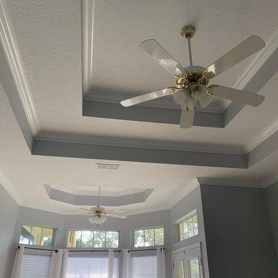 Drywall Repair and Entire home repaint