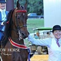 Horse Show Championships!