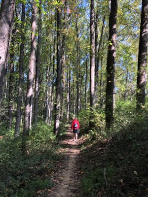 Schaeffer Farms MTB Trails