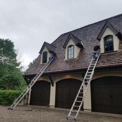 Squirrel removal from attic waxhaw north Carolina