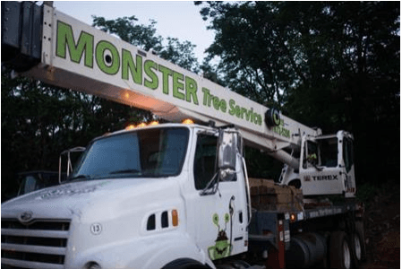 At Monster Tree Services, we aim to please!