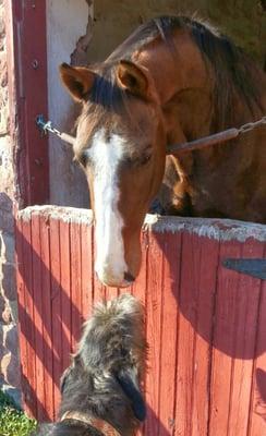 Epic and Gabriel making friends.