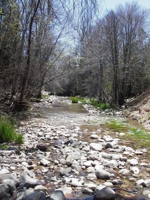 3.0 acres on Haigler Creek. 420 of creek frontage.owner carryback