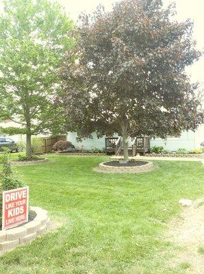 Brick paver and mulch install