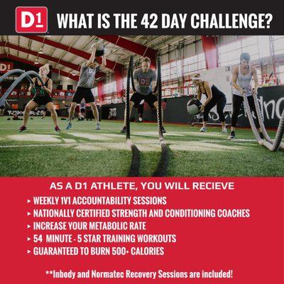 Join the 42 Day Challenge!